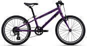 Велосипед GIANT ARX 20 (2022) Purple