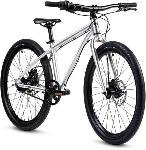 Велосипед Early Rider Belter 24 (2020) серебро