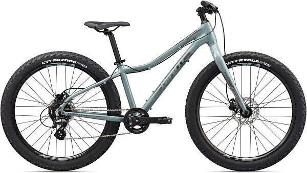 Велосипед Giant XtC Jr 26+ (2020)